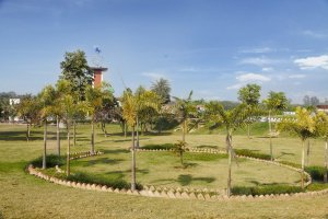 Chandigarh Royal City