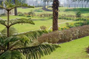 Chandigarh Royal City